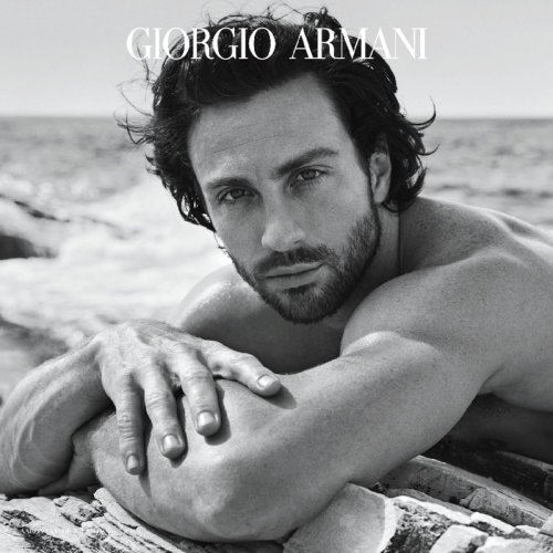Armani Parfum Acqua di Giò Profondo Parfum 3614273953764 Armani Parfum Acqua di Giò Profondo Parfum 3614273953764